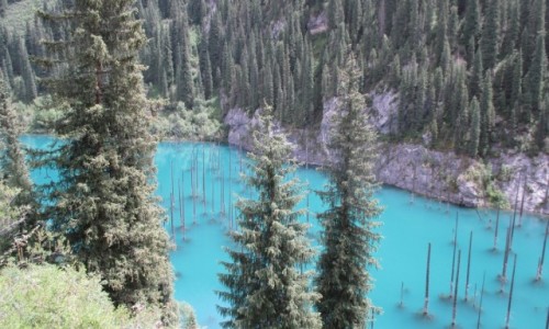 KAZACHSTAN / Poudniowy-wschd / Okolice wsi Saty / Zatopiony las