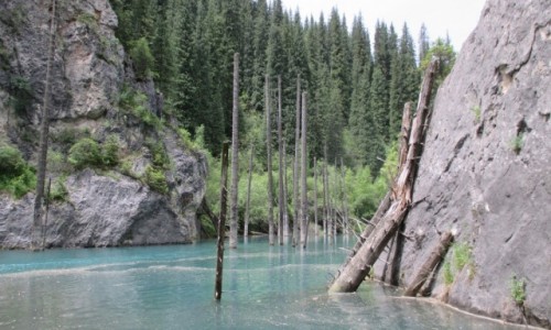 KAZACHSTAN / Poudniowy-wschd / Okolice wsi Saty / Daremny opr