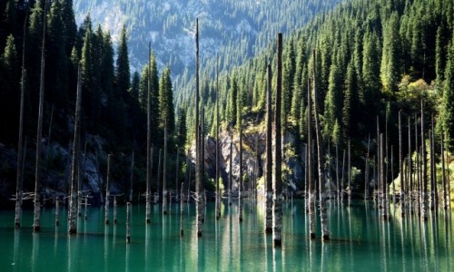 Zdjecie KAZACHSTAN / pd.-wsch. Kazachstan / Park Narodowy Kolsay Lakes / Jezioro Kaindy