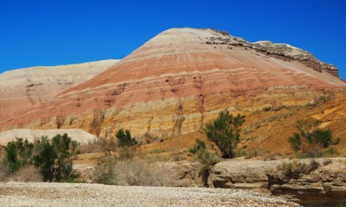 Zdjecie KAZACHSTAN / pd.-wsch. Kazachstan / Park Narodowy Atyn Emel / Gry biae