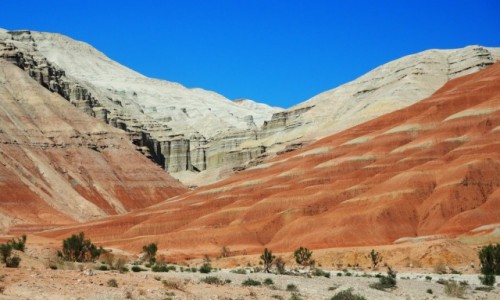Zdjecie KAZACHSTAN / pd.-wsch. Kazachstan / Park Narodowy Atyn Emel / Gry Biae