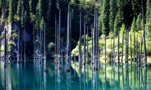 Zdjcie KAZACHSTAN / pd.-wsch. Kazachstan / Park Narodowy Kolsay Lakes / Jezioro Kaindy
