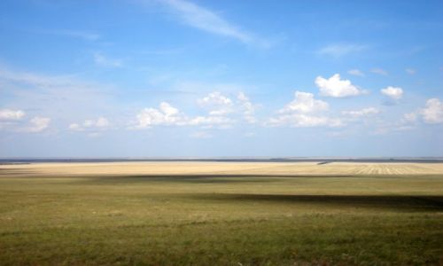 Zdjecie KAZACHSTAN / Płn Kazachstan / Oziornoje / Step