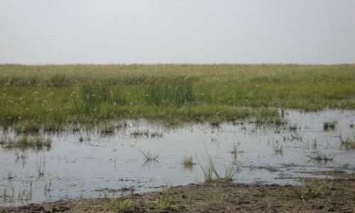 Zdjęcie KAZACHSTAN / Płn Kazachstan / Oziornoje / jezioro w stepie