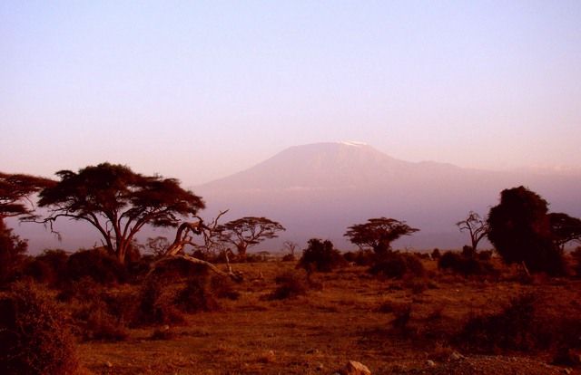 Zdjęcia: Amboseli, Kilimanjaro, KENIA Zdjęcia: Amboseli, Kilimanjaro, KENIA