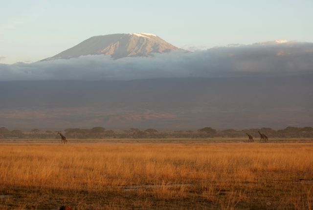 Zdjęcia: Amboseli Park, Amboseli, Kilimanjaro w chmurach, KENIA Zdjęcia: Amboseli Park, Amboseli, Kilimanjaro w chmurach, KENIA