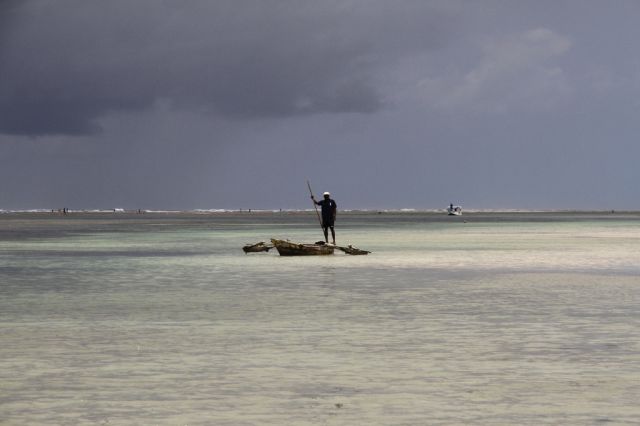 Zdjęcia: Diani Beach, Południowe wybrzeże, a może na ryby?, KENIA Zdjęcia: Diani Beach, Południowe wybrzeże, a może na ryby?, KENIA