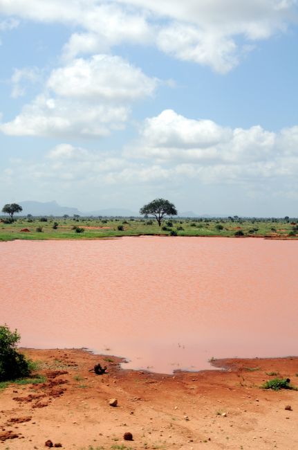 Zdjęcia: Park narodowy , Tsavo East , żar safari , KENIA Zdjęcia: Park narodowy , Tsavo East , żar safari , KENIA