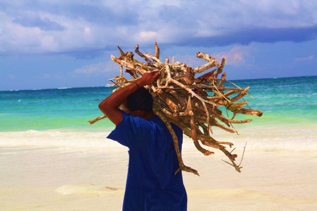 Zdjęcia: Diani Beach, codzienna praca, KENIA Zdjęcia: Diani Beach, codzienna praca, KENIA