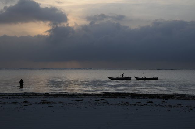 Zdjęcia: Beach, Diani, pocztowka poranna , KENIA Zdjęcia: Beach, Diani, pocztowka poranna , KENIA