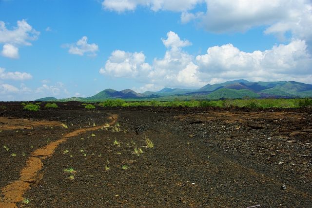 Zdjęcia: Shetani Lava Flow , Tsavo West, Shetani Lava Flow , KENIA Zdjęcia: Shetani Lava Flow , Tsavo West, Shetani Lava Flow , KENIA