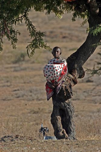 Zdjęcia: Wioska przy rezerwacie Masai Mara, Masai Mara, Gdzie te lwy?, KENIA Zdjęcia: Wioska przy rezerwacie Masai Mara, Masai Mara, Gdzie te lwy?, KENIA