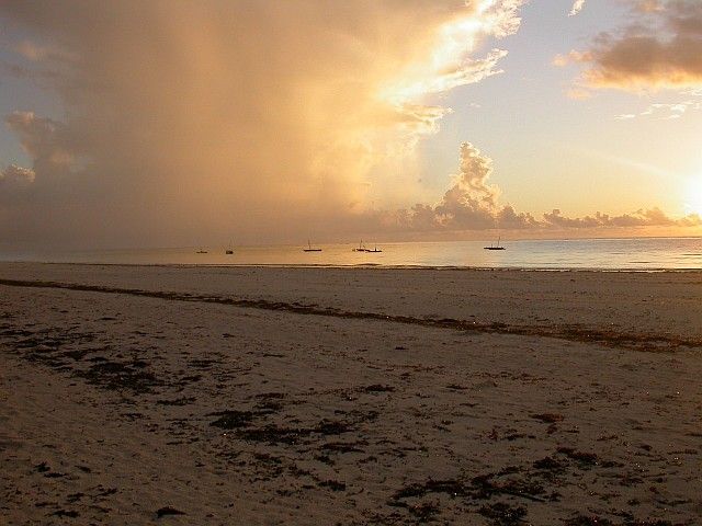 Zdjęcia: Diani Beach, Diani Beach, Zachód , KENIA Zdjęcia: Diani Beach, Diani Beach, Zachód , KENIA