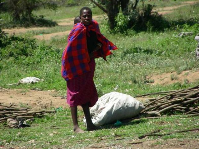 Zdjęcia: W drodze do tanzanii, Gospodyni gromadzi budulec na nowy dom, KENIA Zdjęcia: W drodze do tanzanii, Gospodyni gromadzi budulec na nowy dom, KENIA