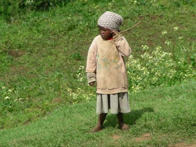 Zdjęcia: Gdzieś po drodze, Masai Mara, Pastereczka, KENIA Zdjęcia: Gdzieś po drodze, Masai Mara, Pastereczka, KENIA