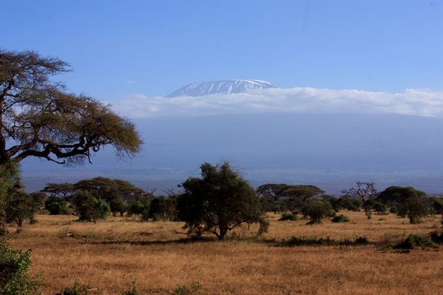 Zdjęcia: Amboseli, Park Narodowy Amboseli, widok na Kilimandżaro, KENIA Zdjęcia: Amboseli, Park Narodowy Amboseli, widok na Kilimandżaro, KENIA