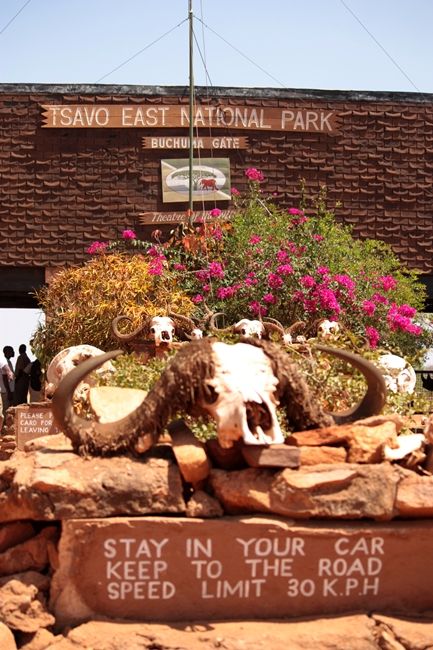 Zdjęcia: Tsavo East, Południowa Kenia, przed bramą wjazdową do parku, KENIA Zdjęcia: Tsavo East, Południowa Kenia, przed bramą wjazdową do parku, KENIA