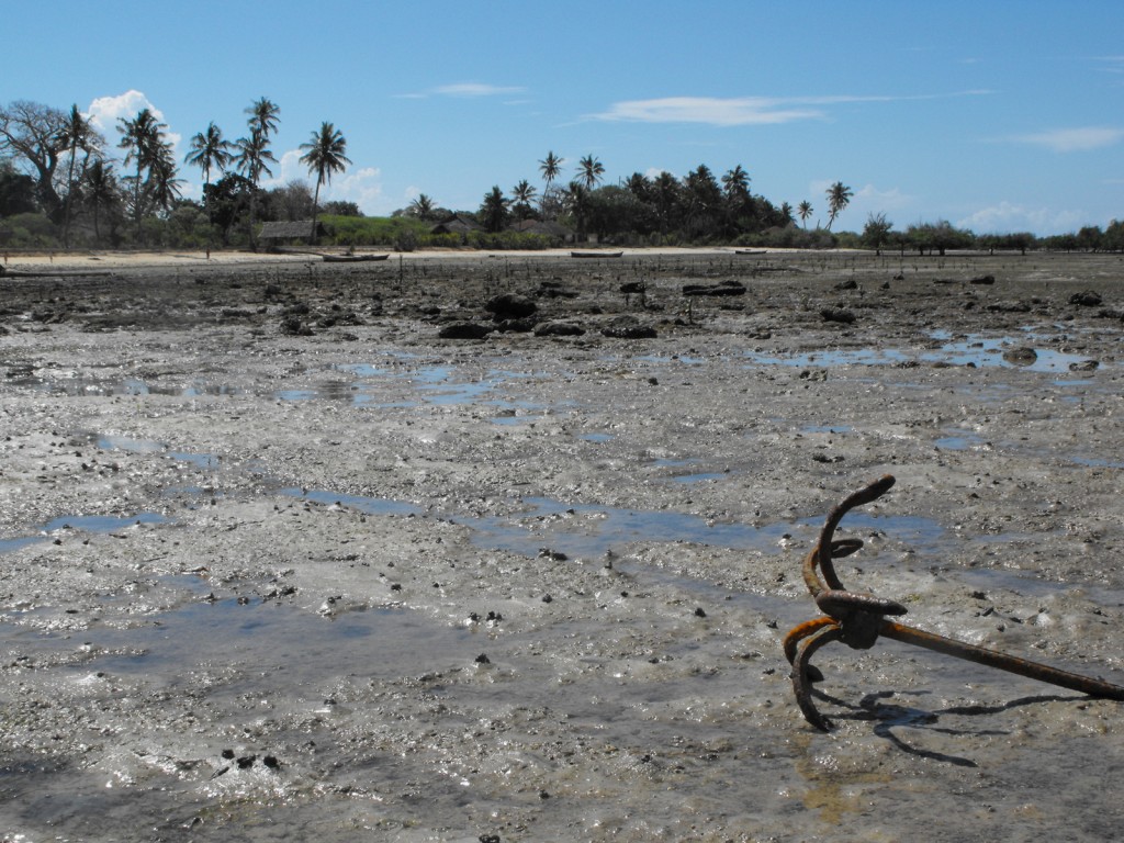 Zdjęcia: wybrzeżę, wyspa Shimoni, kenijskie wspomnienia, KENIA Zdjęcia: wybrzeżę, wyspa Shimoni, kenijskie wspomnienia, KENIA