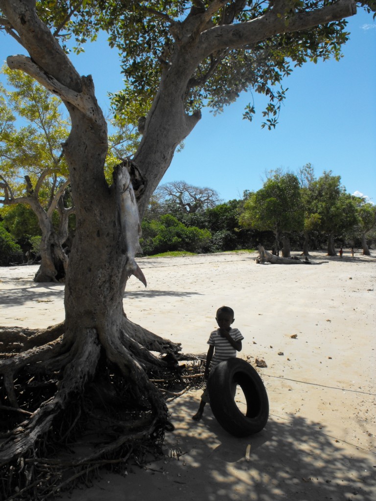 Zdjęcia: wybrzeżę, wyspa Shimoni, kenijskie wspomnienia, KENIA Zdjęcia: wybrzeżę, wyspa Shimoni, kenijskie wspomnienia, KENIA