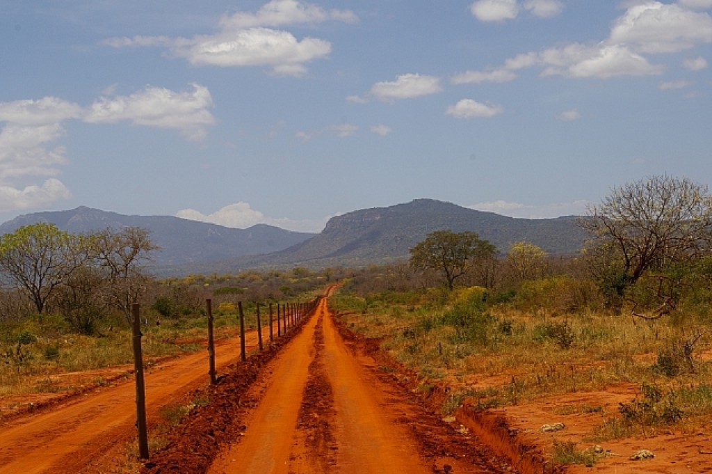 Zdjęcia: TSAVO EAST, TSAVO EAST, AUTOSTRADA PRZEZ KENIE, KENIA Zdjęcia: TSAVO EAST, TSAVO EAST, AUTOSTRADA PRZEZ KENIE, KENIA