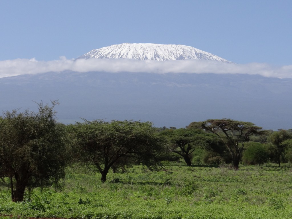 Zdjęcia: Amboseli NP, widok na Kilimandżaro, KENIA Zdjęcia: Amboseli NP, widok na Kilimandżaro, KENIA