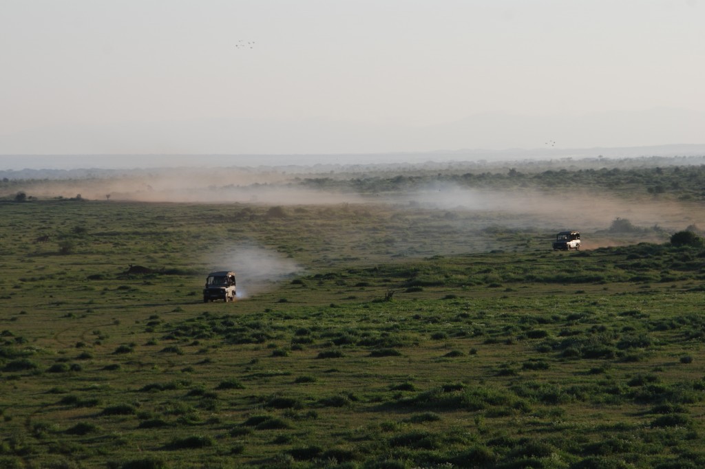 Zdjęcia: Park Narodowy Amboseli, Droga do Mombasy, W terenie, KENIA Zdjęcia: Park Narodowy Amboseli, Droga do Mombasy, W terenie, KENIA