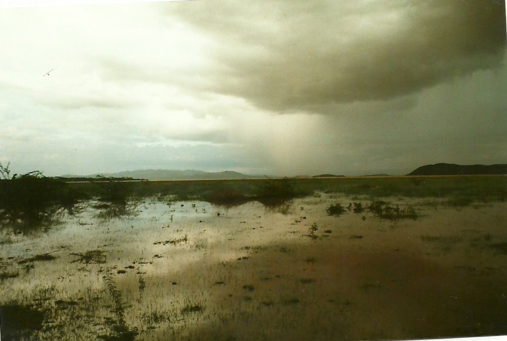 Zdjęcia: Jezioro Baringo, Środk. Kenia, Burza, KENIA Zdjęcia: Jezioro Baringo, Środk. Kenia, Burza, KENIA