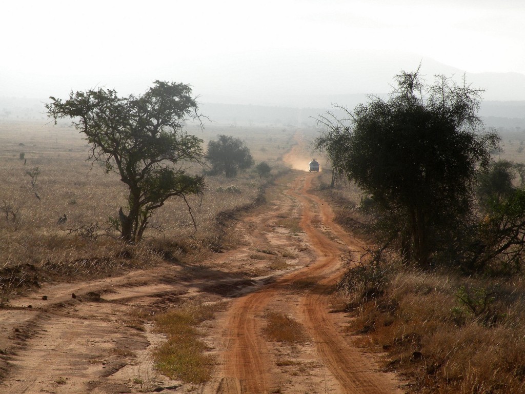 Zdjęcia: Tsavo West, Mombasa, w poszukiwaniu lwa..., KENIA Zdjęcia: Tsavo West, Mombasa, w poszukiwaniu lwa..., KENIA