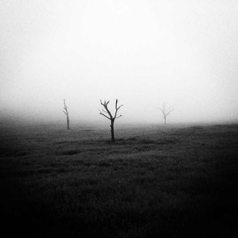 Zdjęcia: Safari, -Safari, Poranek, KENIA Zdjęcia: Safari, -Safari, Poranek, KENIA