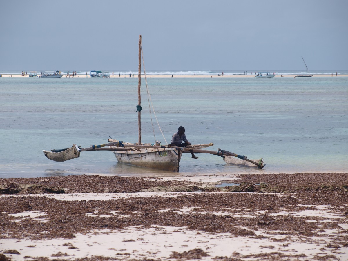 Zdjęcia: Diani Beach, Mombasa, Kenia, KENIA Zdjęcia: Diani Beach, Mombasa, Kenia, KENIA