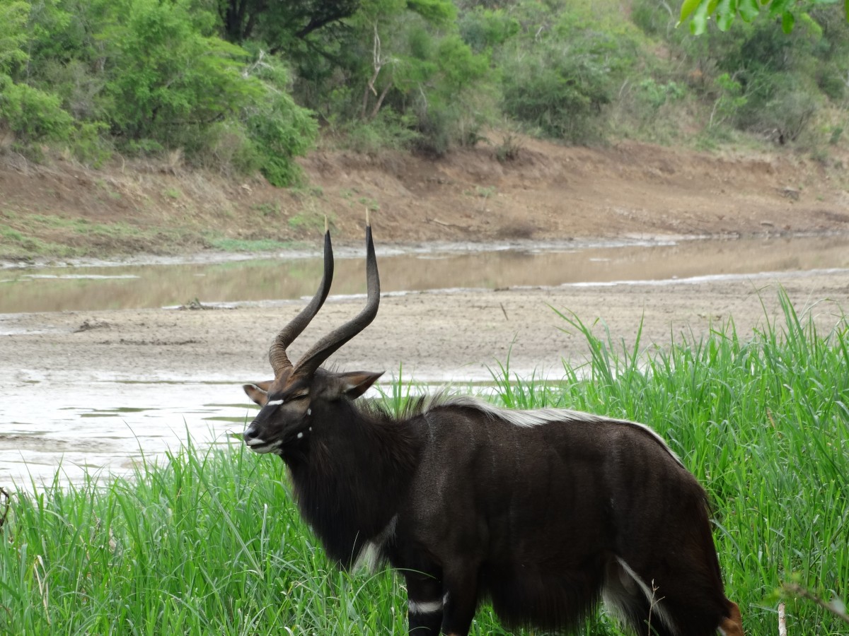 Zdjęcia: kenia, kenia, kenia, KENIA Zdjęcia: kenia, kenia, kenia, KENIA