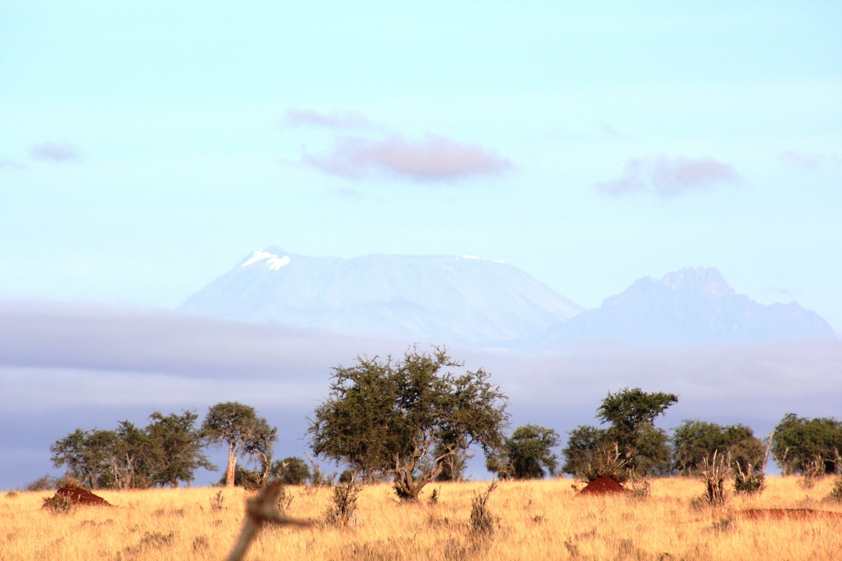 Zdjęcia: Taita Hills, Taita Hills, "Najbardziej suchy szczyt......", KENIA Zdjęcia: Taita Hills, Taita Hills, "Najbardziej suchy szczyt......", KENIA