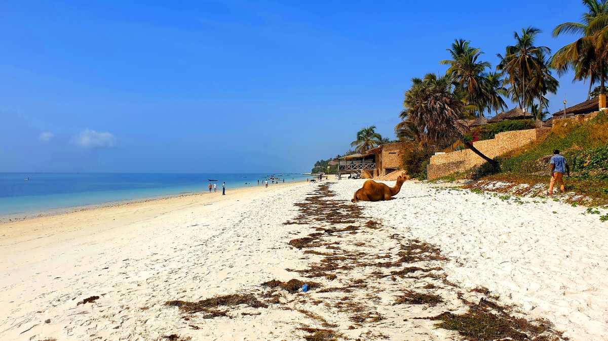 Zdjęcia: Mombasa, Mombasa, Plaża nad Oceanem Indyjskim, KENIA Zdjęcia: Mombasa, Mombasa, Plaża nad Oceanem Indyjskim, KENIA