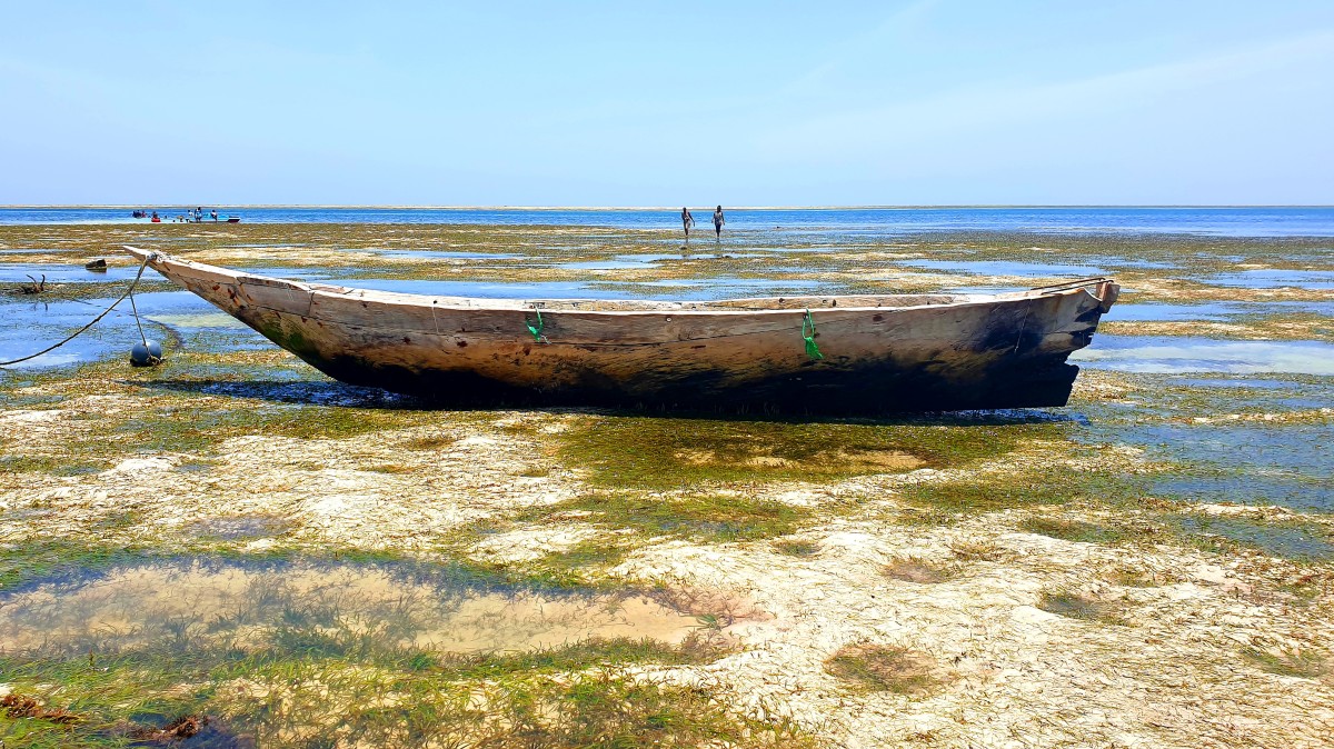 Zdjęcia: Mombasa, Mombasa, Odpływ (Ocean Indyjski), KENIA Zdjęcia: Mombasa, Mombasa, Odpływ (Ocean Indyjski), KENIA