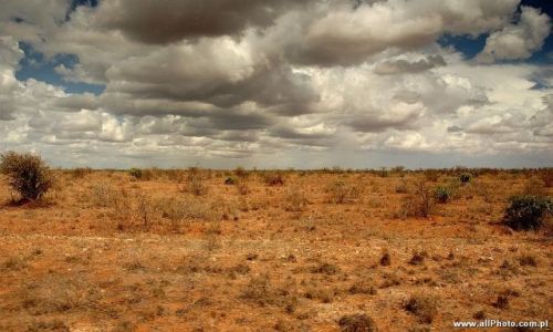 Zdjecie KENIA / Tsavo East / Tsavo East / Tsavo East