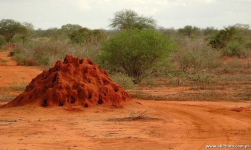 Zdjecie KENIA / Tsavo East / Tsavo East / Tsavo East