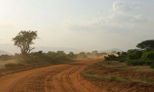 Zdjecie KENIA / Afryka / kenia /  na safari
