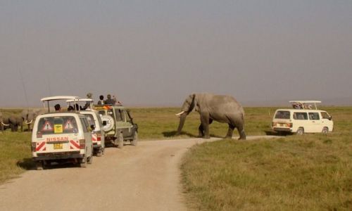 Zdjęcie KENIA / - / Amboseli / Autostop