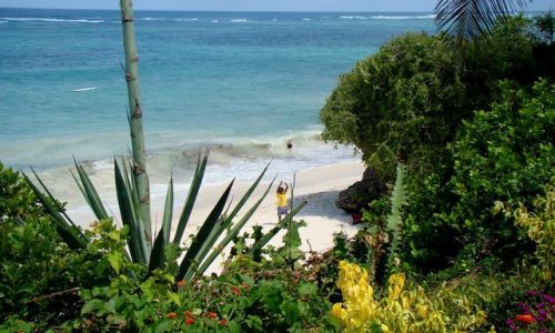 Zdjcie KENIA / Prowincja Nadbrzena / Mombasa, Diani / Ocean Indyjski