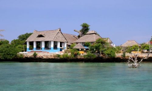 Zdjęcie KENIA / Południowe wybrzeże / Wasini / Błękitna laguna