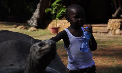 Zdjecie KENIA / Mombasa / okolicre / Kumpel