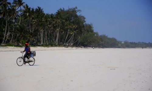 Zdjcie KENIA / Wybrzeze poludniowe  / Diani Beach  / sportowa plaza 