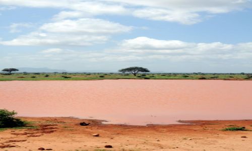 Zdjcie KENIA / Tsavo East  / Park narodowy  / ar safari 