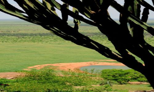 Zdjcie KENIA / Tsavo East / Tsavo National Park / widok na wodopoj
