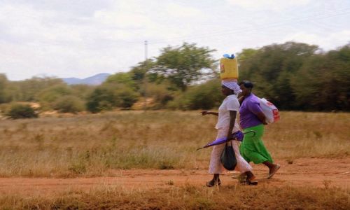 Zdjcie KENIA / Tsavo East / Tsavo National Park / najwazniejsze nie miec zajetych rak 