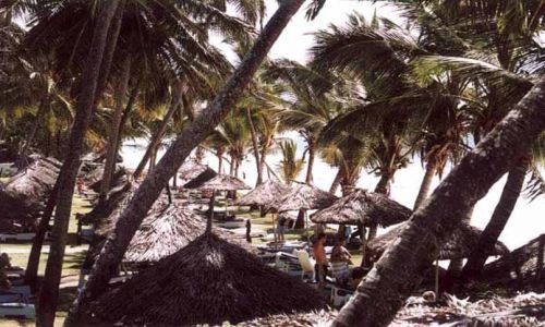 Zdjcie KENIA / Soud Coast / Diani Beach / Kenia