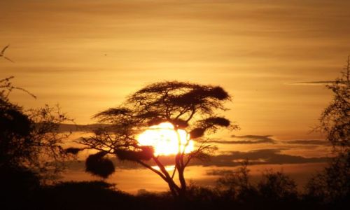 Zdjecie KENIA / - / Amboseli/Diani / Spenione marzenia! III