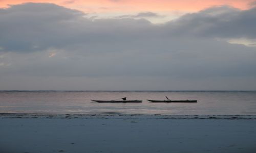 Zdjęcie KENIA / Diani  / Beach  / spokoj i moc