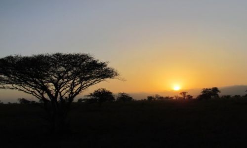 Zdjecie KENIA / TSAVO / Safari Tsavo East / beautiful