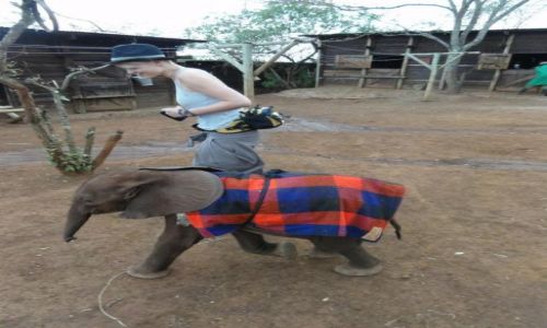 Zdjecie KENIA / - / Nairobi / run Ela, run!